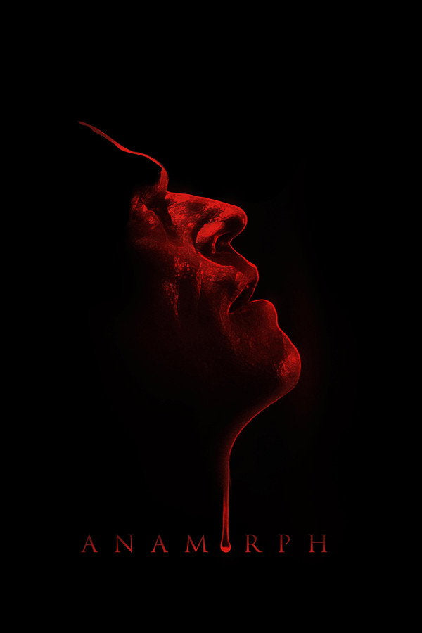 Anamorph Poster