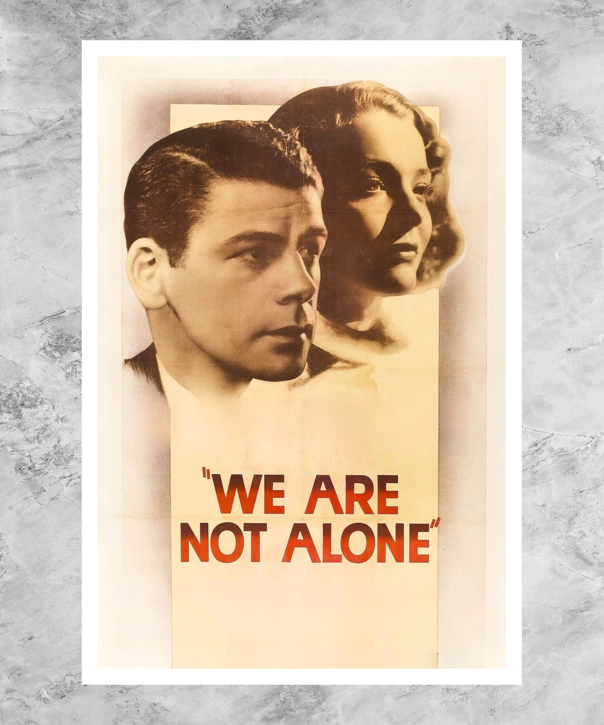 We Are Not Alone Poster