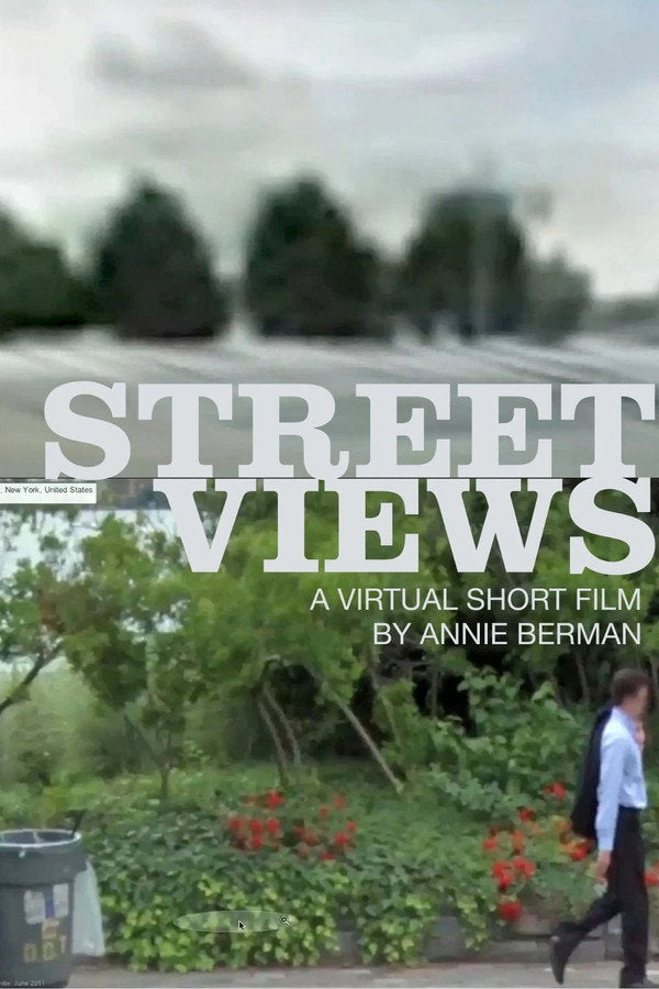 Street Views Poster
