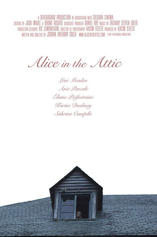 Alice in the Attic Poster