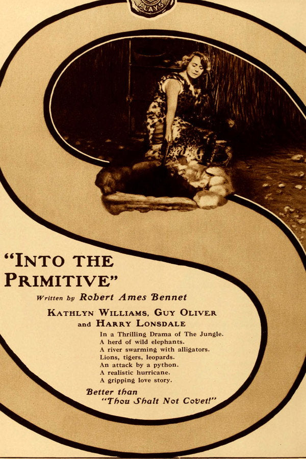 Into the Primitive Poster