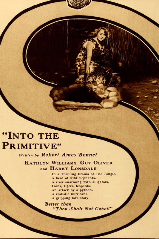 Into the Primitive Poster