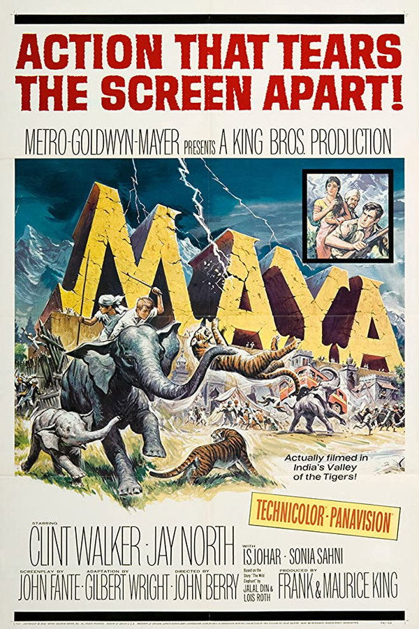 Maya Poster