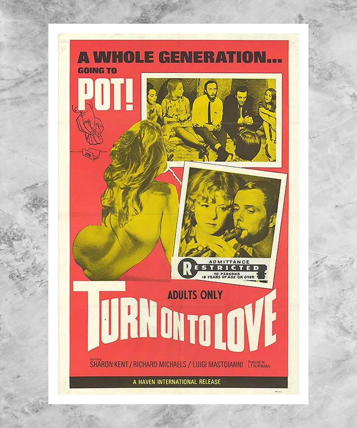 Turn on to Love Poster