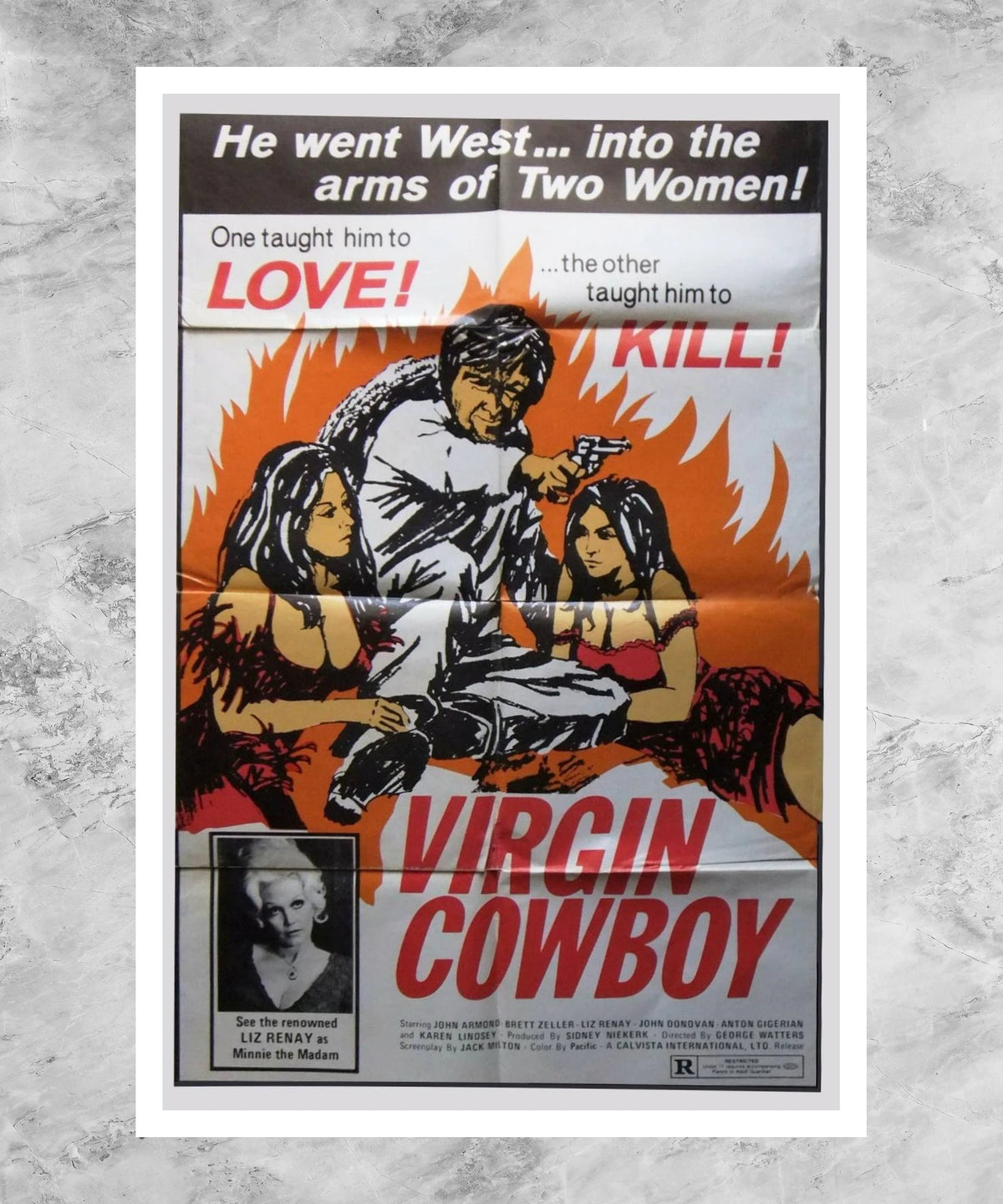 Virgin Cowboy Poster