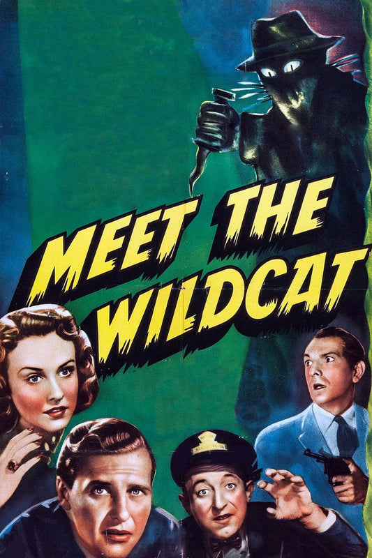 Meet the Wildcat Poster